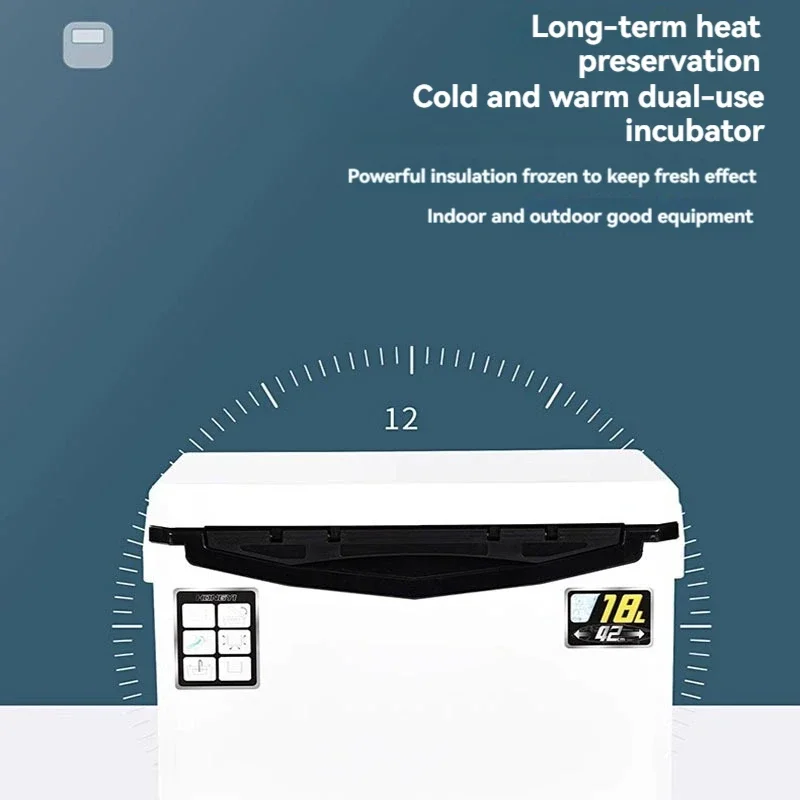 Full-size insulated cooler box - Fishing Belt review and price